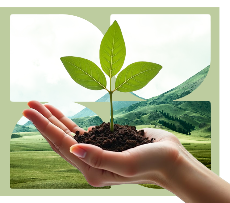 Committed to a Greener Future