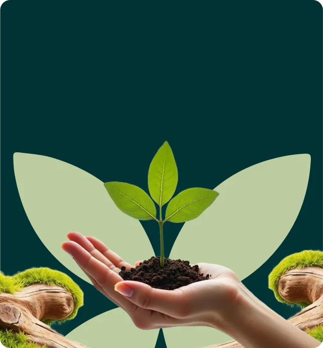 Committed to a Greener Future