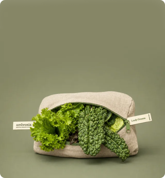 Discover Our Best Sustainable Finds