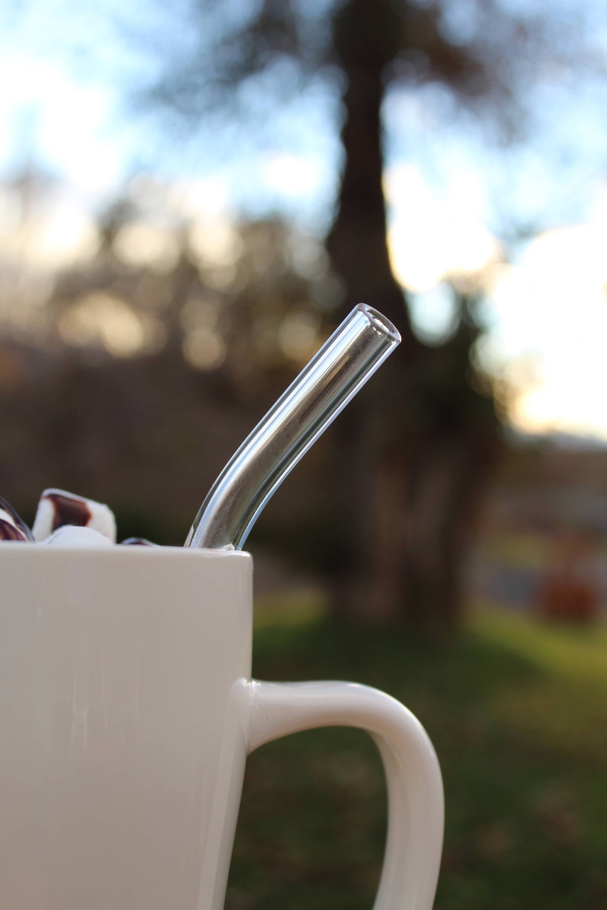Curved Glass Straw with Brush, 8 inch, DrinkingStraws.Glass, MyEcoMark